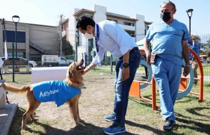 Invita San Nicolás a “adoptar como héroes”
