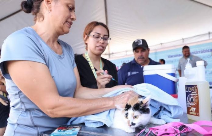 Vacunará San Nicolás a 4 mil mascotas
