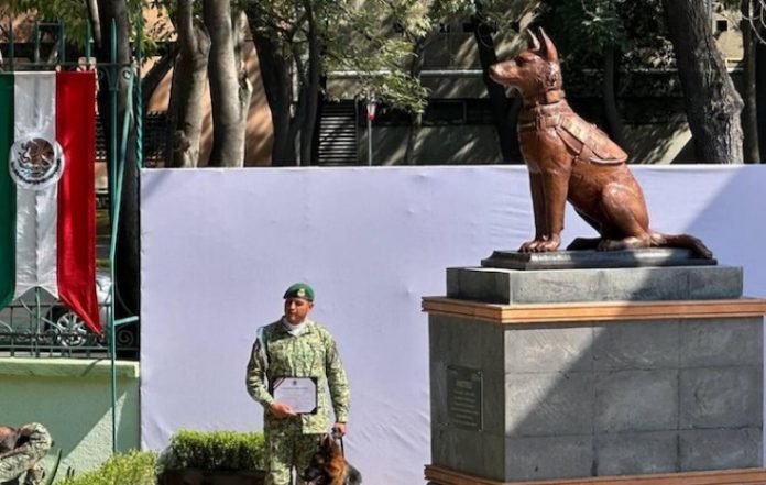 “Serás recordado por siempre”: el Ejército mexicano devela un monumento al perro rescatista Proteo