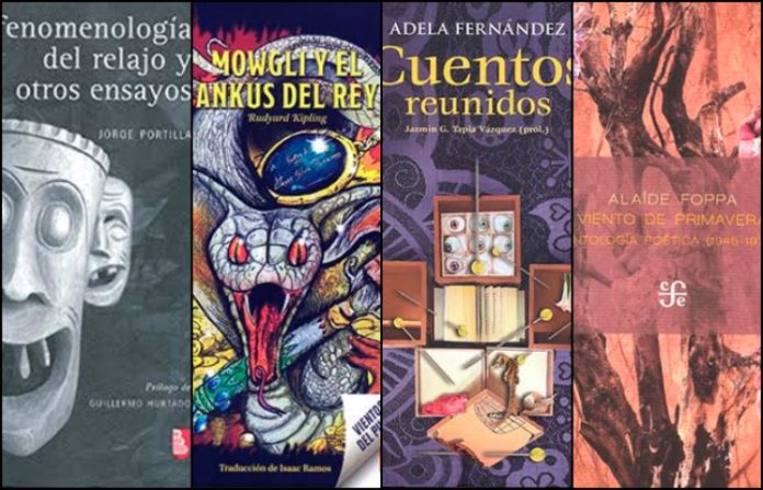 Gerson Gómez: La biblioteca de los hijos de Laurita Garza
