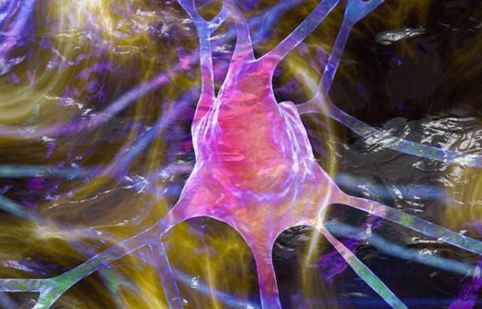 Descubren un nuevo desencadenante del párkinson que surge mucho antes de lo que se creía