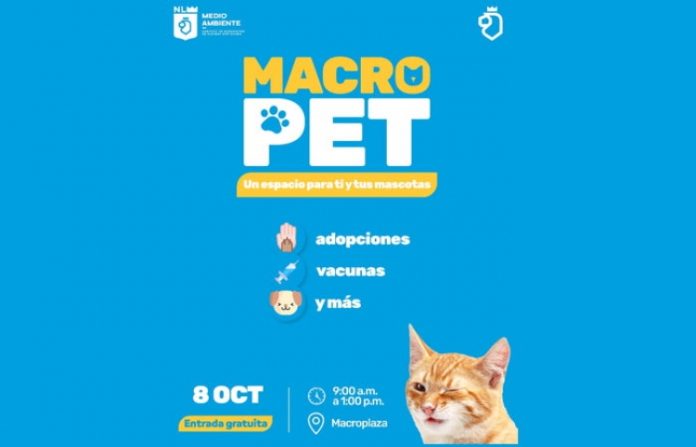 En el Macro Pet habrá animalitos de compañía que buscan hogar definitivo, ¿te animas?