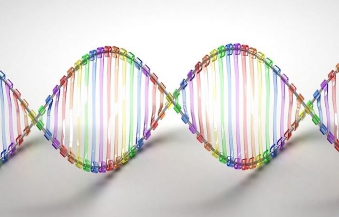 Fragmentos tóxicos de ADN podrían ser los desencadenantes de Parkinson