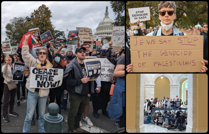 Video: “No en nuestro nombre”: la comunidad judía protesta en el Capitolio y pide cese al fuego en Gaza
