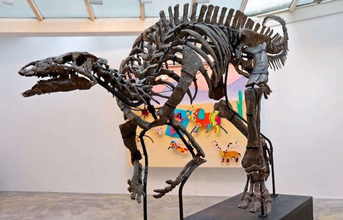 Esqueleto de dinosaurio se vende por casi $1 millón en subasta en París