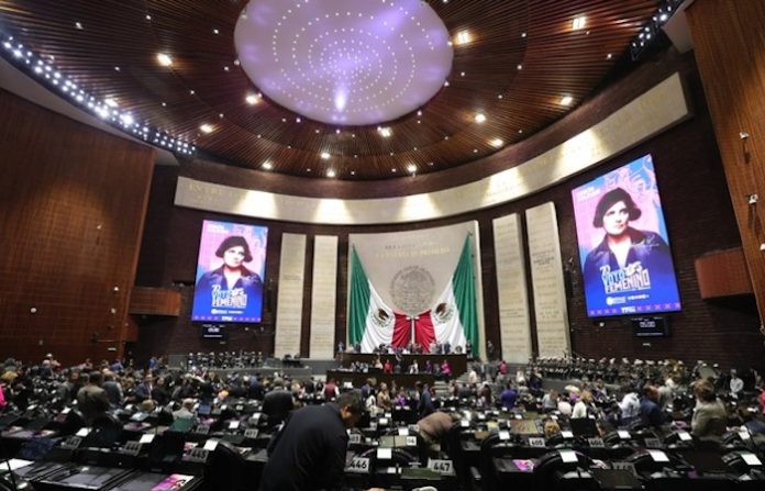 Claudia Goldin, Premio Nobel de Economía 2023, y el Análisis de la Cámara de Diputados sobre brechas de género en el mercado laboral