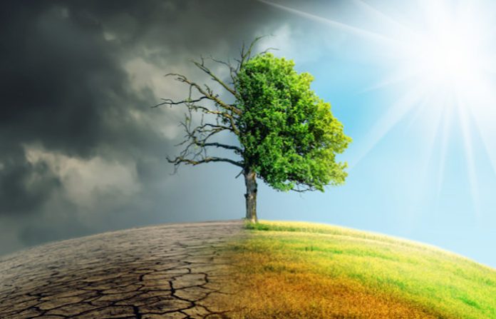 Los BRICS asumen que es “urgente” colaborar frente a los desafíos ambientales