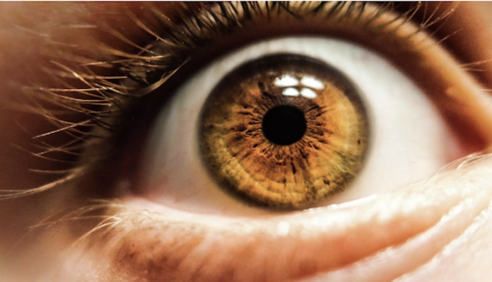 Desarrollan un método que puede determinar la ‘edad’ de los ojos
