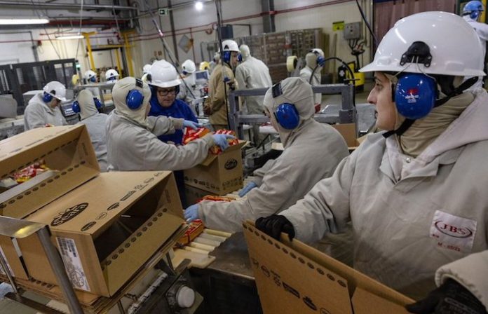 Brasil crea 1,5 millones de nuevos empleos en lo que va de año