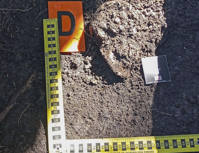 Antropólogos identifican en Argentina fosa común de masacre indígena del siglo XIX