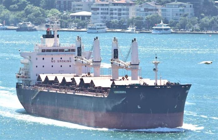 Incautan en Turquía 150 kilos de cocaína en una embarcación procedente de Colombia