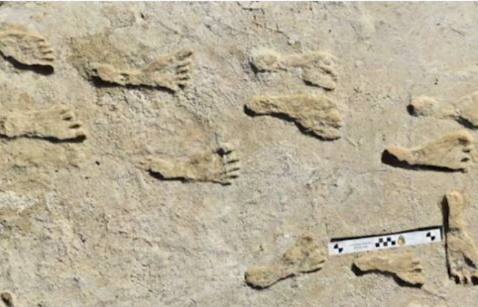 Revelan que los primeros humanos llegaron a América del Norte miles de años antes de lo pensado