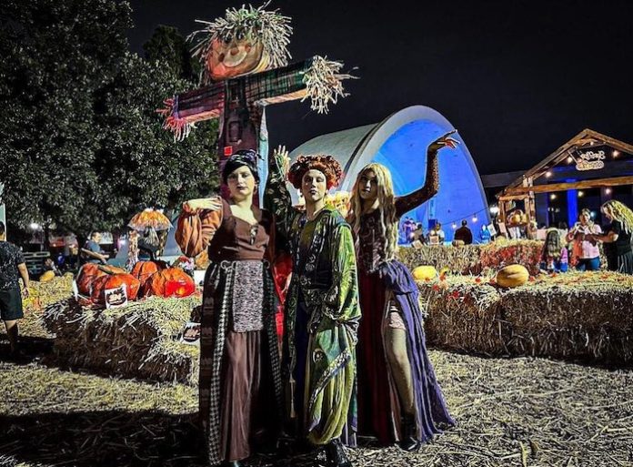 Realiza San Nicolás tradicional Concurso de Altares