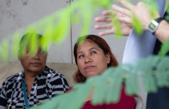 Capacitan a personas indígenas para que participen en candidaturas