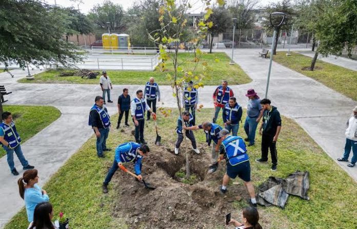 Continúa San Nicolás jornada de reforestación