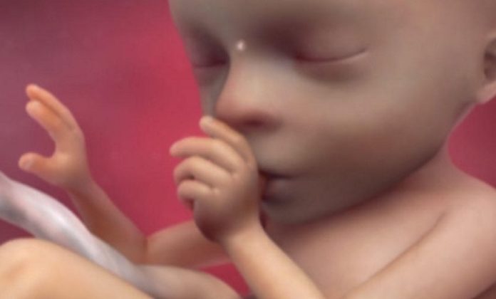 México celebra entre avances y retos el aborto legal y seguro