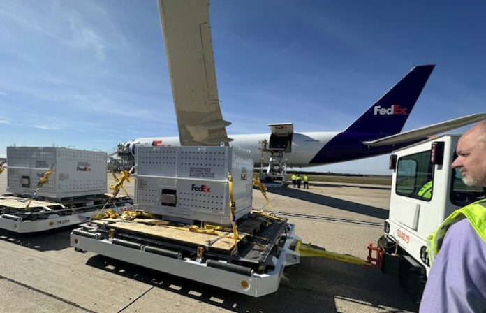 Tres pandas gigantes regresan desde EU a su hogar natal en China