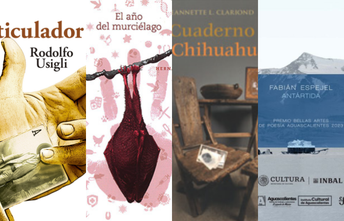 Gerson Gómez: La biblioteca de los hijos de Laurita Garza