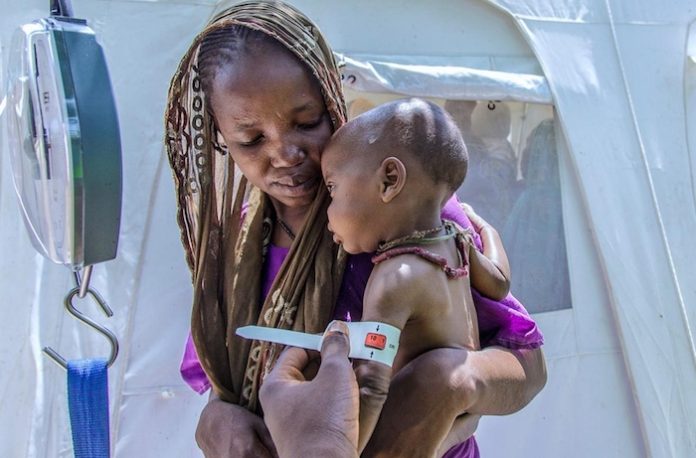 La ONU pronostica que 26,5 millones de nigerianos sufrirán inseguridad alimentaria en 2024