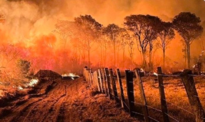 El fuego consume más de un millón de hectáreas del Pantanal brasileño en 2023