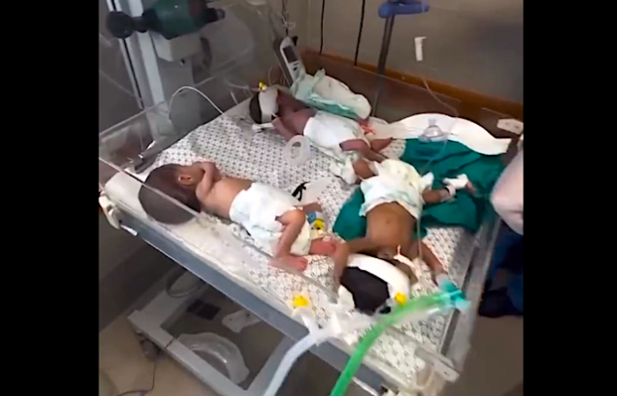 Buscan a los progenitores de los 31 recién nacidos evacuados del hospital Al Shifa