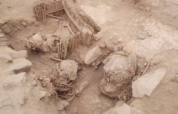 Cinco momias de más de mil años de antigüedad son halladas en distrito de Lima