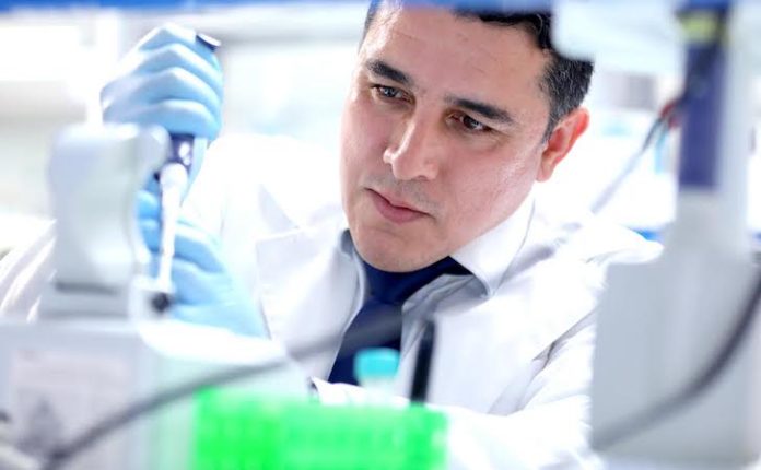 Ligan especialistas de UANL deterioro cognitivo con la neuroinflamación