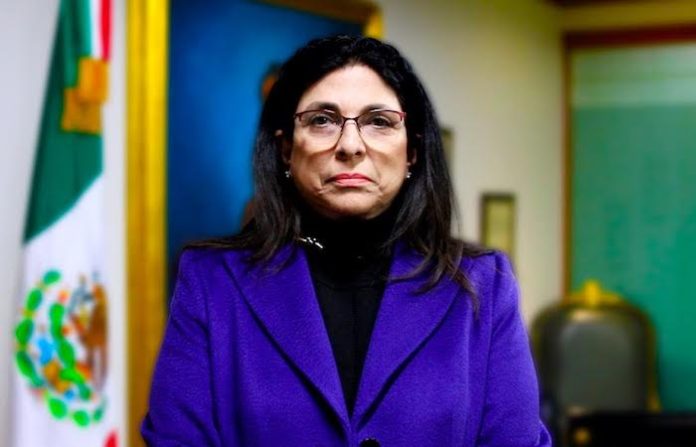 La elección consecutiva busca la profesionalización parlamentaria: Marcela Guerra