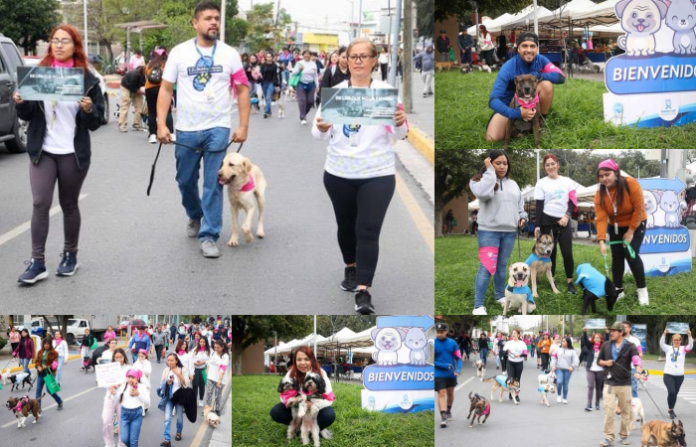 Realiza San Nicolás caminata contra el maltrato animal