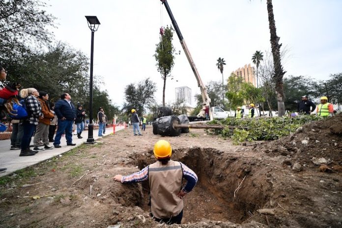 Comienza Gobierno de Monterrey a plantar árboles en la Alameda