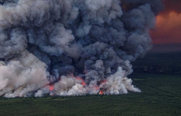 Canadá reporta 87 incendios forestales en todo su territorio