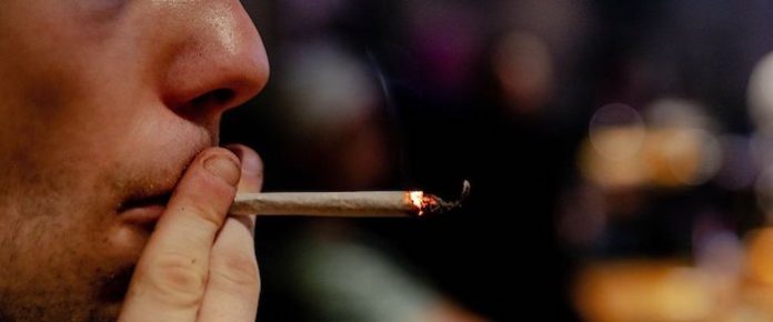 Inician ventas de cannabis cultivado legalmente en el sur de Países Bajos