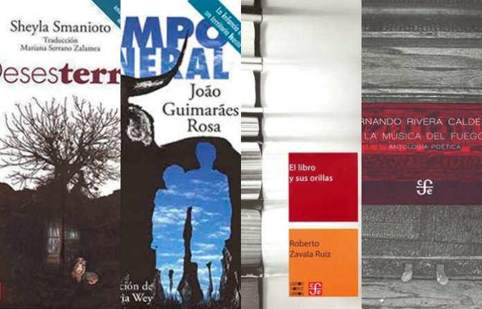 Gerson Gómez: La Biblioteca de los hijos de Laurita Garza