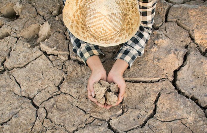 Proponen actualizar la Ley Agraria a fin de dar certeza jurídica al desarrollo de la propiedad ejidal