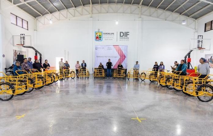 Impulsa DIF Guadalupe economía familiar