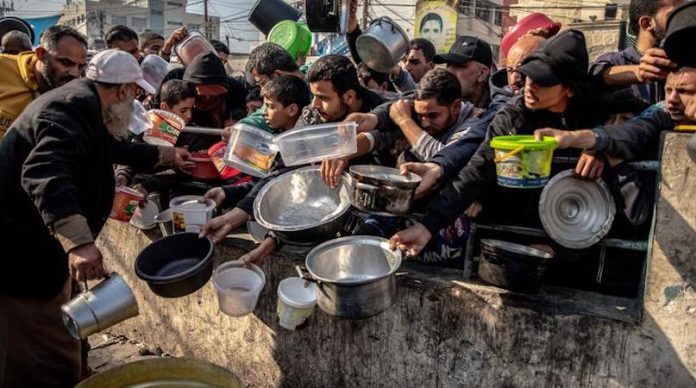 La OMS alerta de un alto riesgo de hambruna en Gaza en medio del conflicto regional