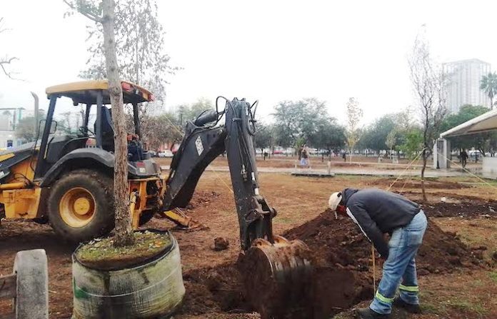 Avanza Monterrey con reforestación de la Alameda