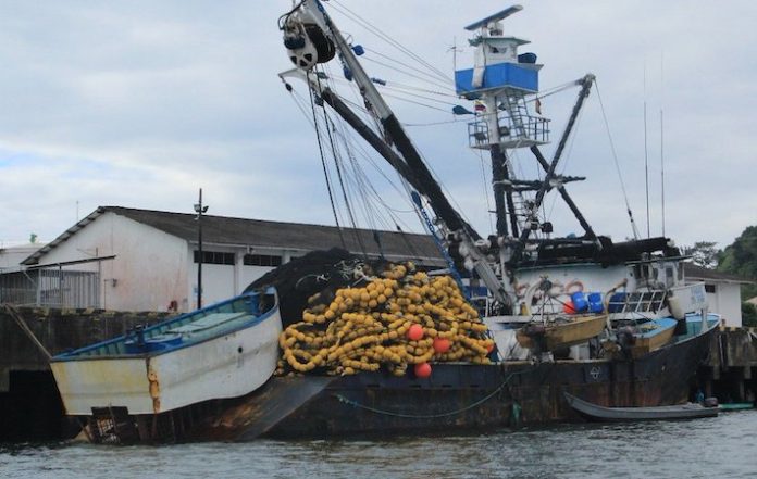 Sector camaronero de Ecuador dejó de ingresar $1.500 millones en 2023