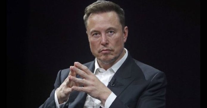 Musk cree que Biden y Harris le “castigan” por no ser demócrata