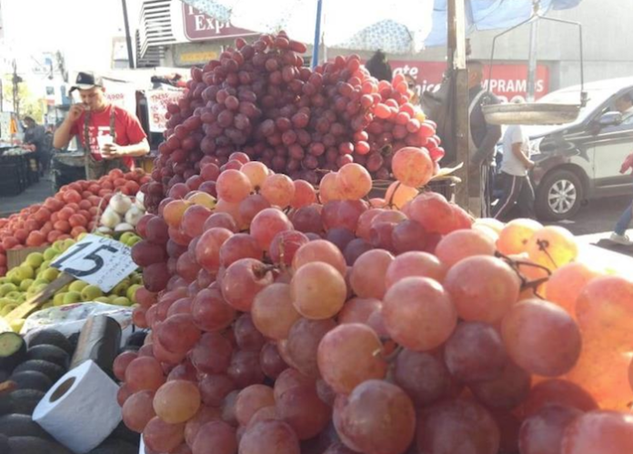 Se mantiene estable el precio de la uva en los mercados
