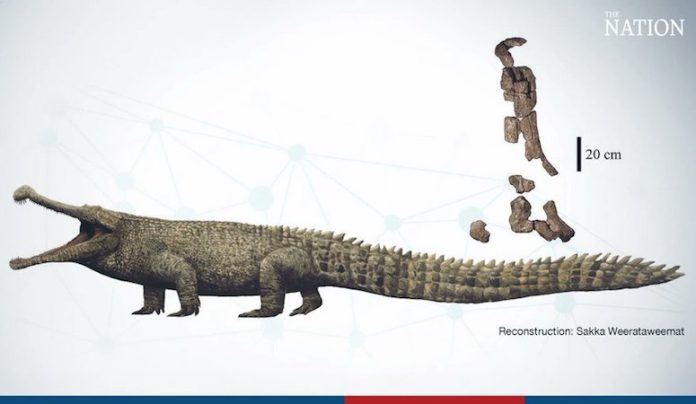 Tailandia declara tesoro nacional restos de un reptil datados de hace 150 millones de años