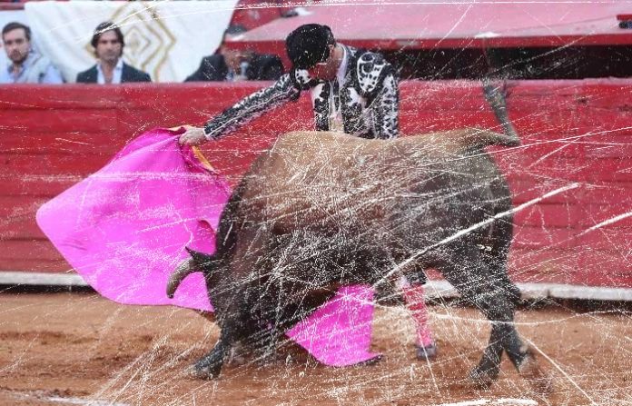 AMLO propone consulta ciudadana sobre las corridas de toros en México
