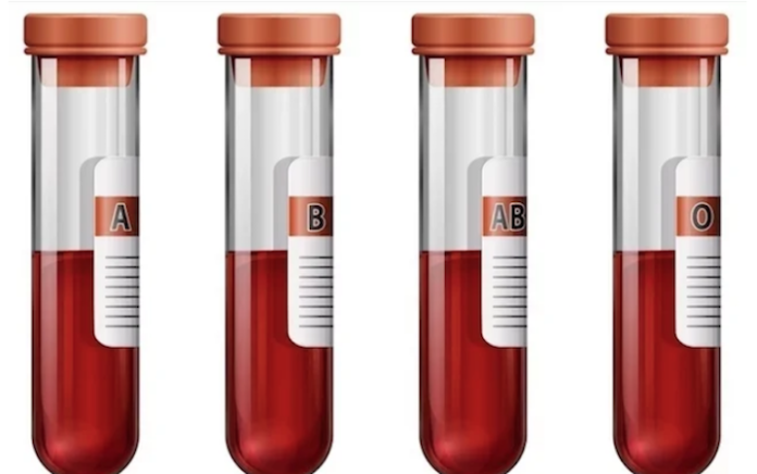 Impulsa Shirley Guadalupe Vázquez incluir tipo de sangre en credencial para votar