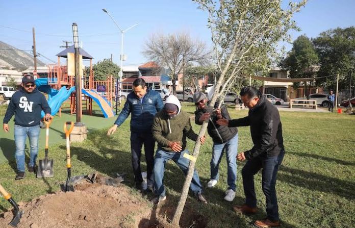 Retoma Daniel Carrillo el programa “Arboleando San Nicolás”