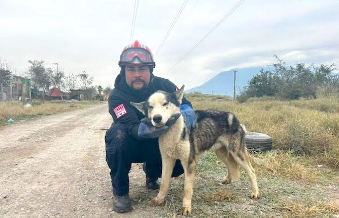 PC de Escobedo rescata a perrito atrapado en una alcantarilla
