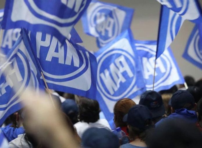 Van panistas neoleoneses por curules federales