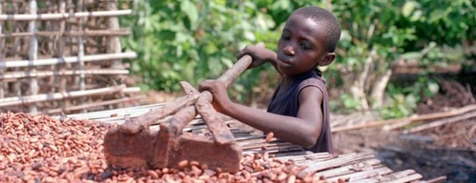 “Chocolate con sabor a esclavitud”: Europa saca enormes beneficios de la trata infantil en África