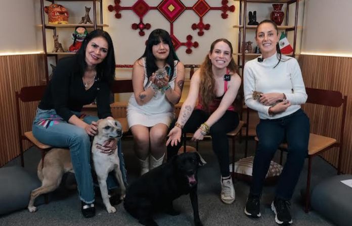 ’’Es mejor adoptar’’: Claudia Sheinbaum destaca la importancia de rescatar animales en situación de calle