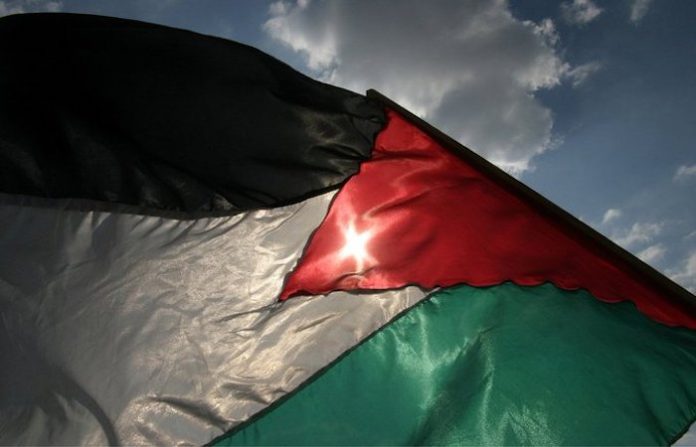 Manifestantes propalestinos causan daños por €150.000 en la Universidad de Ámsterdam