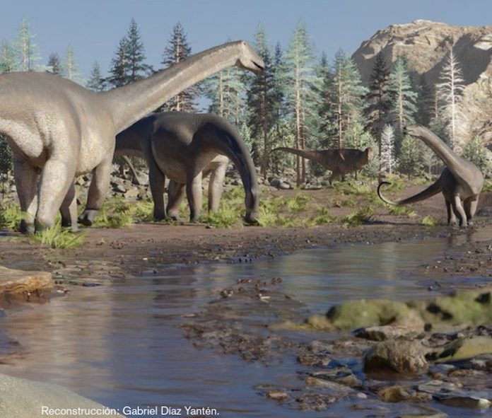 Científicos hallan en Argentina fósil de uno de los últimos dinosaurios de cuello largo